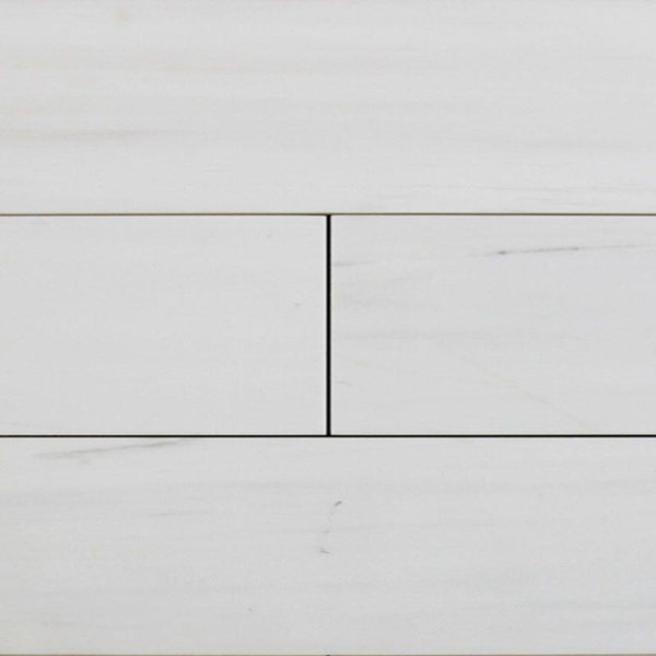 4 x 12 Marble Look Wall & Floor Tile
