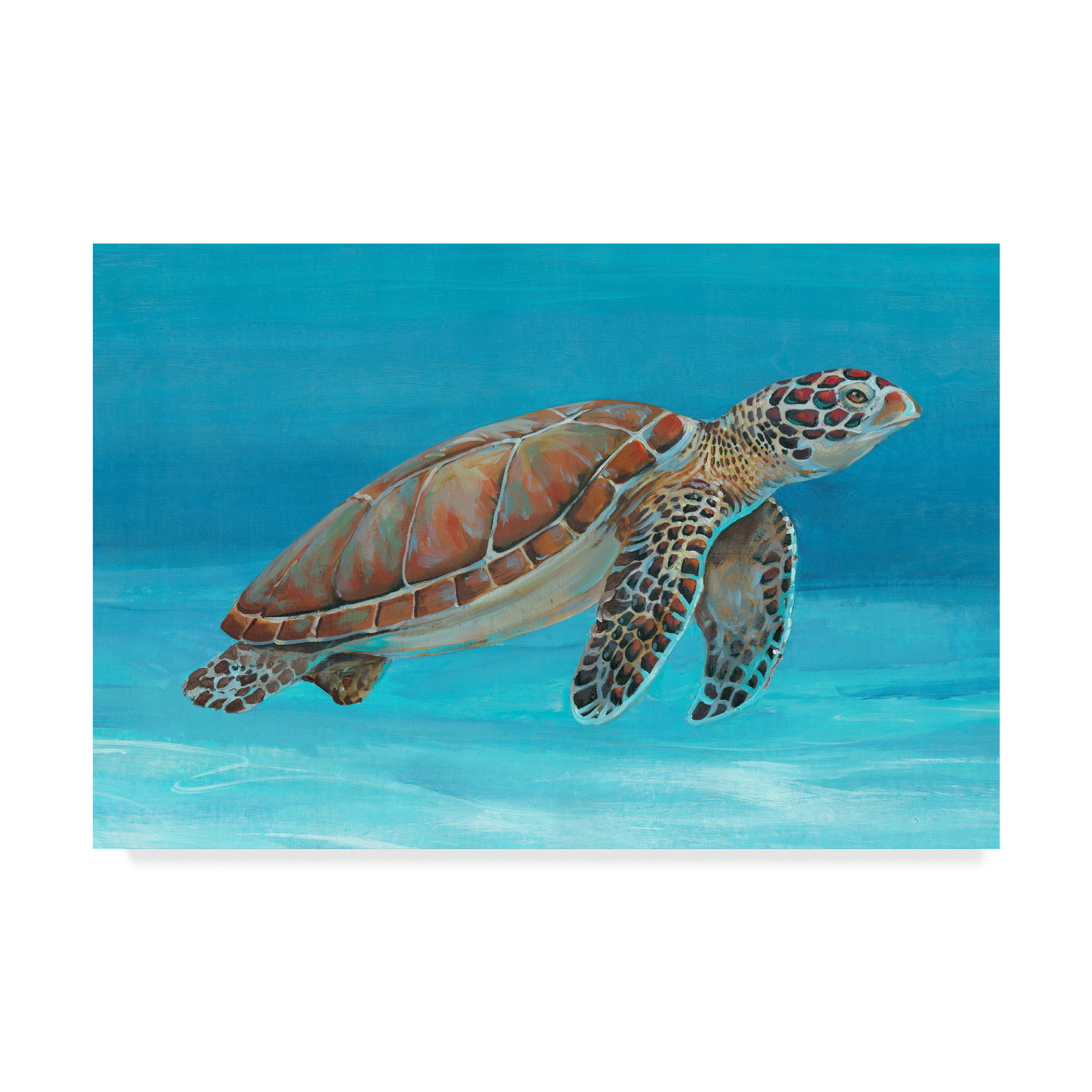 Bathroom Wall Decor Ocean Sea Wall Art Green Turtle Pictures Artwork Painting Ocean Decor Canvas Prints Nautical Bathroom Art Pictures Canvas Wall Art Decor Canvas Framed Prints Bedroom Ready to Hang