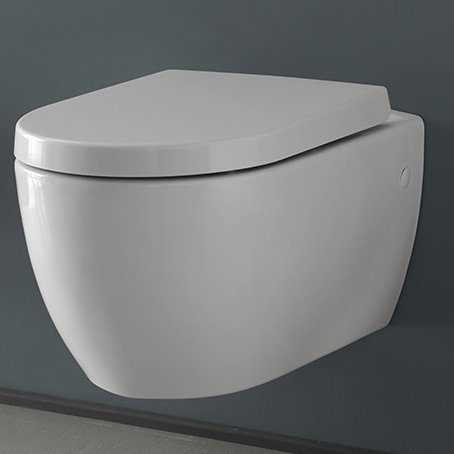 Cerastyle By Nameeks City 1 2 Gpf Elongated Toilet Bowl Seat