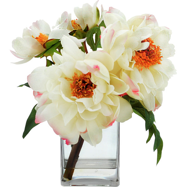 Tipped Peony Floral Arrangement by Beachcrest Home