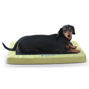 Comfy N' Dry Indoor / Outdoor Dog Bed