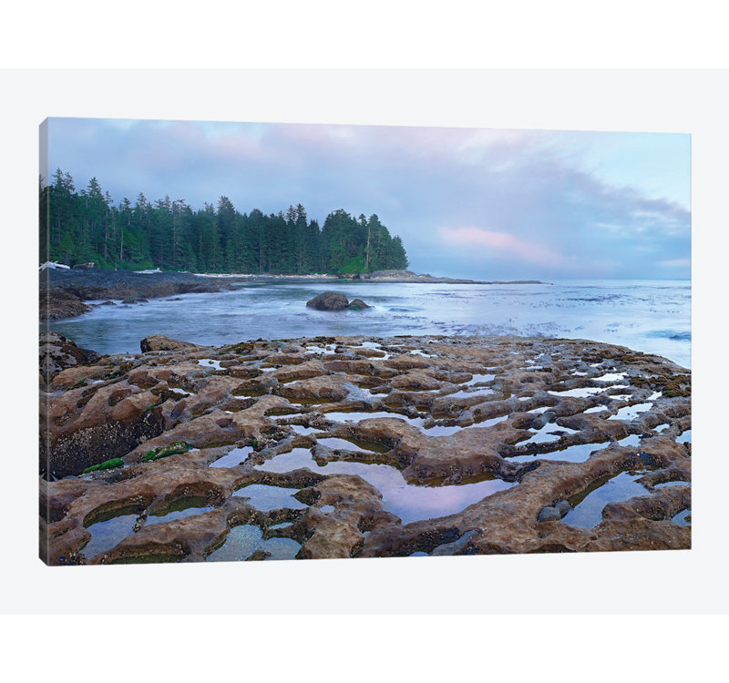East Urban Home Tide Pools Exposed At Low Tide Botanical Beach