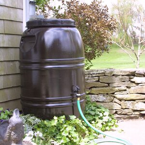 60 Gallon Rain Barrel