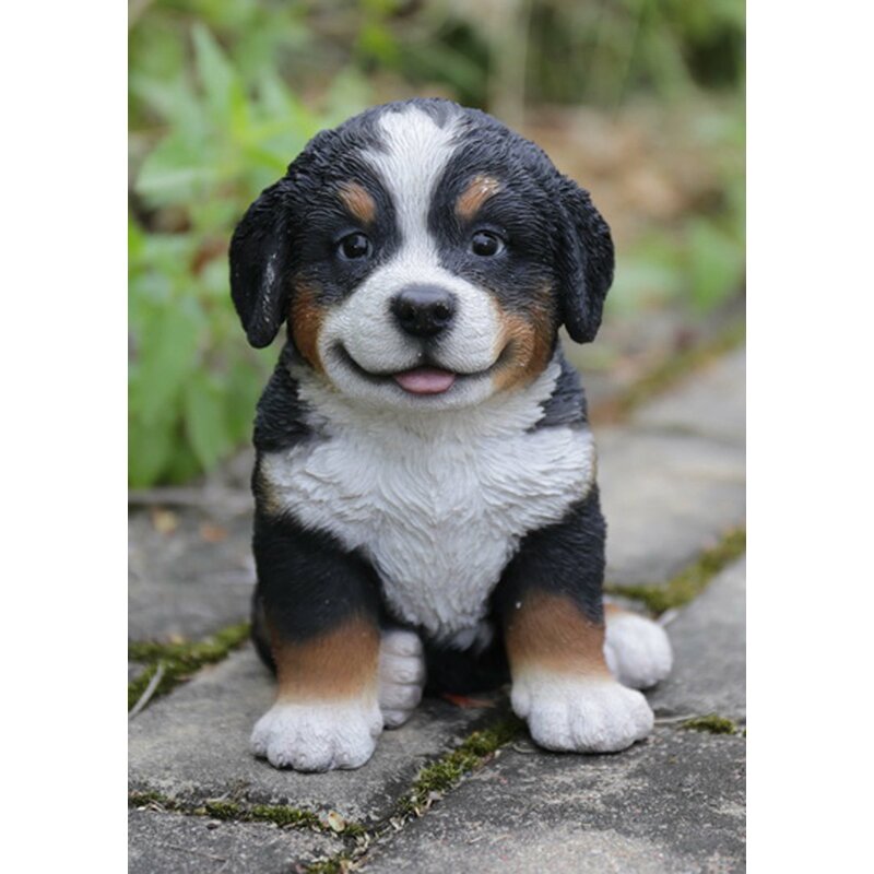 cheap bernese mountain dog puppies for sale