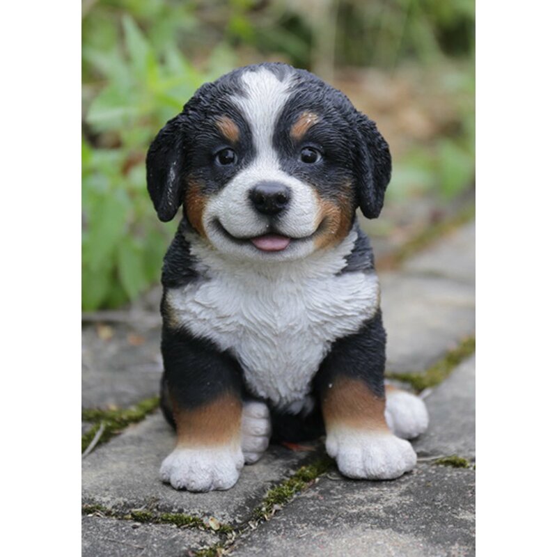 bernese mt dog puppies