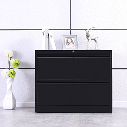 Arnett 2 Drawer Lateral Filing Cabinet by Latitude Run