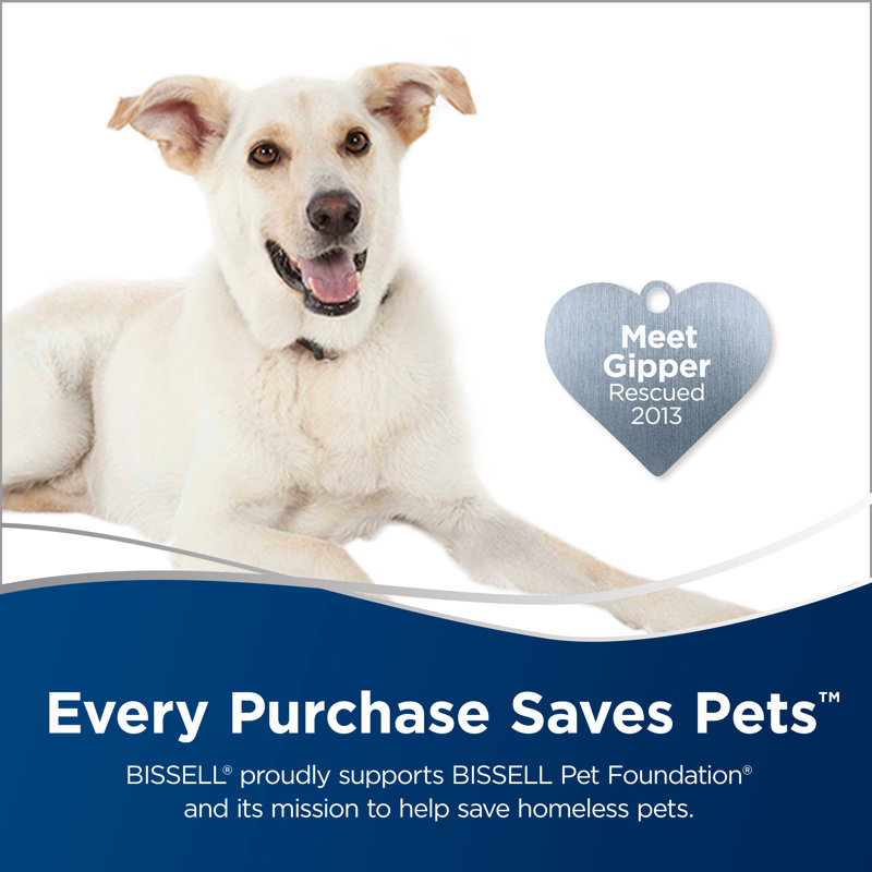 bissell dog shampooer