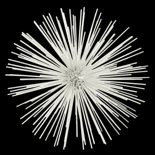 Modern Contemporary Metal Sea Urchin Wall Art Allmodern Metal Sea Urchin Ornamental Sculpture Wall Décor