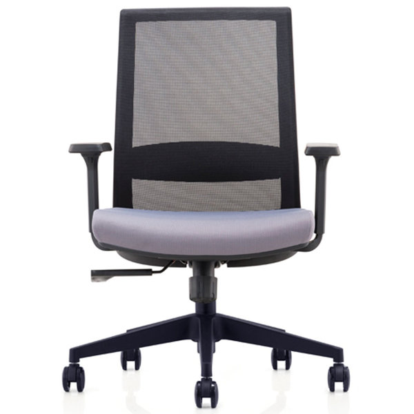 Motion Health and Wellness Mid-Back Ergonomic Mesh Office Chair by Symple Stuff