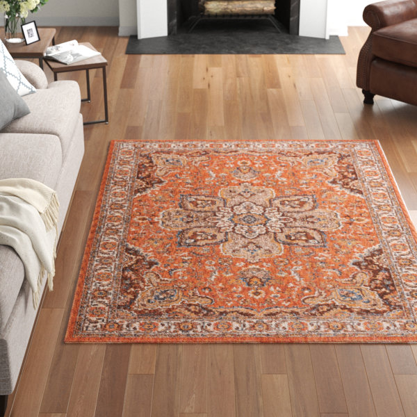 Matteson Traditional Orange/Brown Area Rug &amp; Reviews 