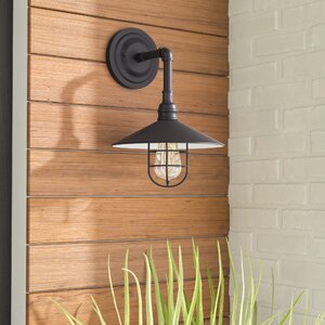 Mineo 1-Light Outdoor Sconce