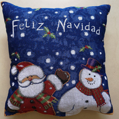 Decorative Sofa Pillows Wayfair