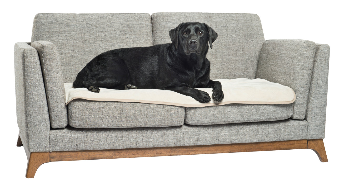 Loudon TheraWarm Thermal Reflective Warming Pet Blanket