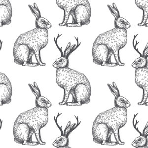 The Legend of the Jackalope Removable 5' x 20