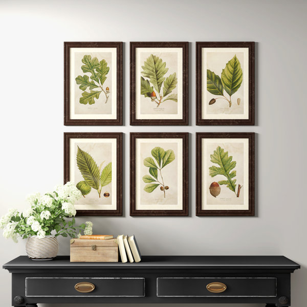Deciduous 6 Piece Picture Frame Print Set On Paper Reviews Birch Lane