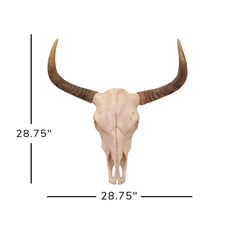 Bull Skull Wall Decor Reviews Joss Main