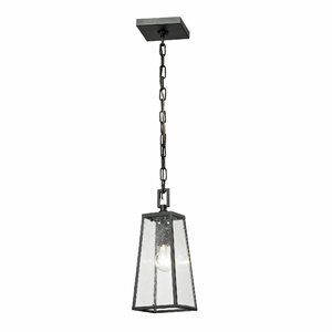 Karly 1-Light Outdoor Pendant