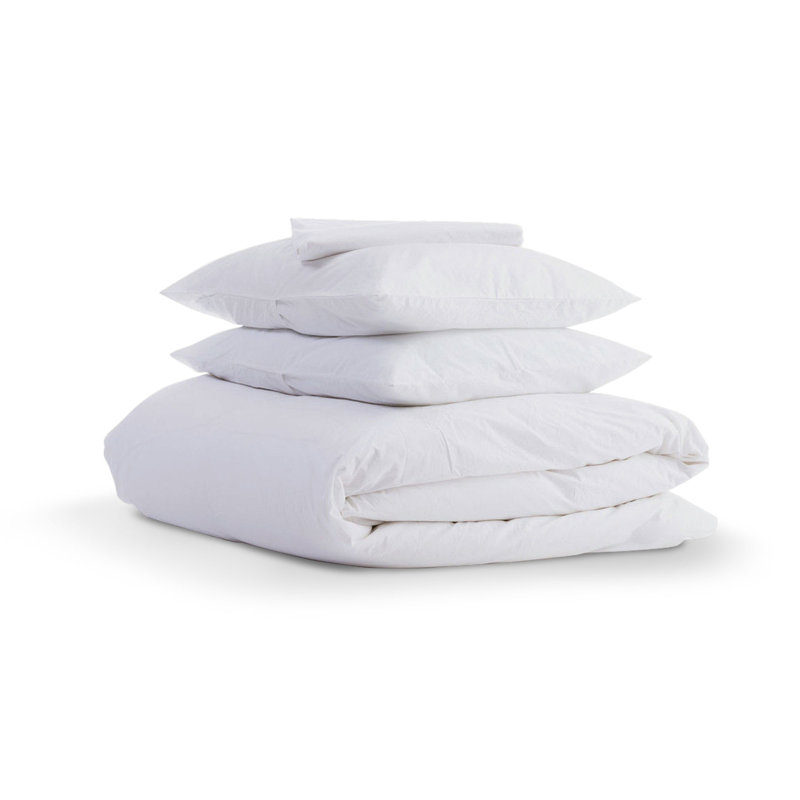 Alwyn Home Gus 100 Organic Cotton Solid Wrinkle Resistant
