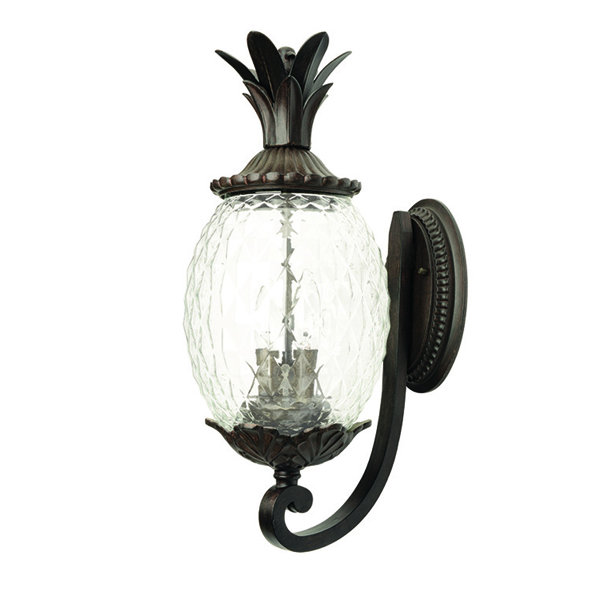 Pineapple Lighting | Wayfair
