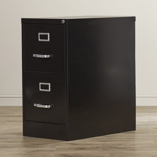 2 Drawer Commercial Letter Size File Cabinet by Symple Stuff