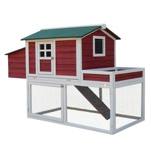 Farmhouse Chicken Coop with Run Area and Nesting Box