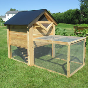 The Ultimate Backyard Chicken Coop with Chicken Run