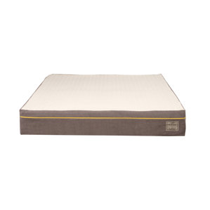 Alwyn Home Plush Memory Foam Mattress