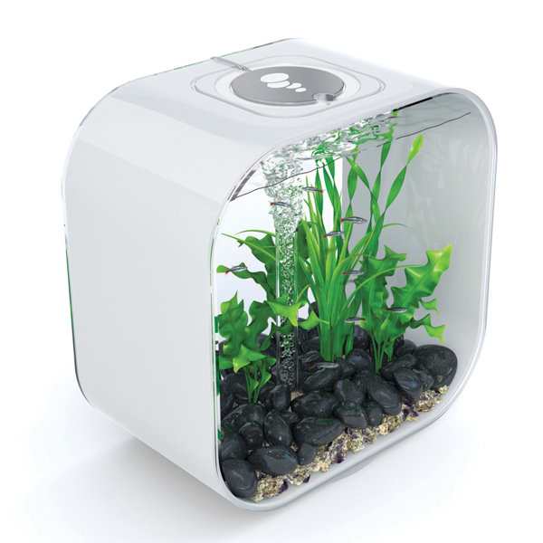 8 Gallon Life Aquarium Tank by biOrb