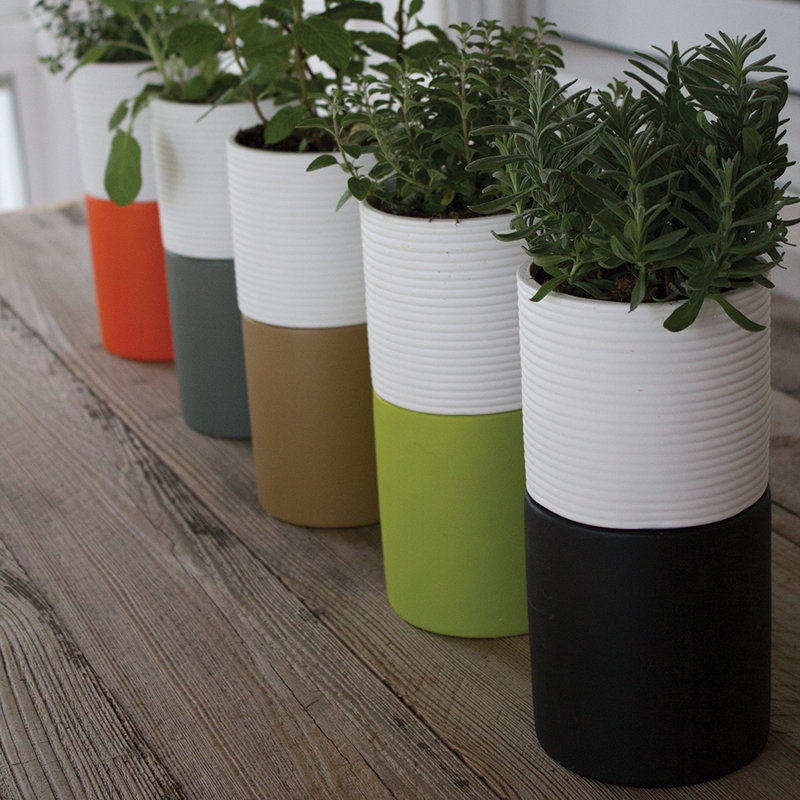 SelfWatering Ceramic Pot Planter & Reviews AllModern