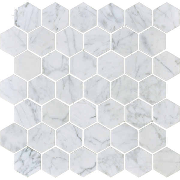Carrara 2 x 2 Hexagon Honed Marble Mosaic Tile in White by The Bella Collection