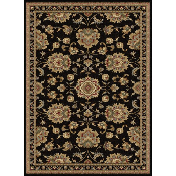 Clarence Black/Gold Area Rug by Astoria Grand