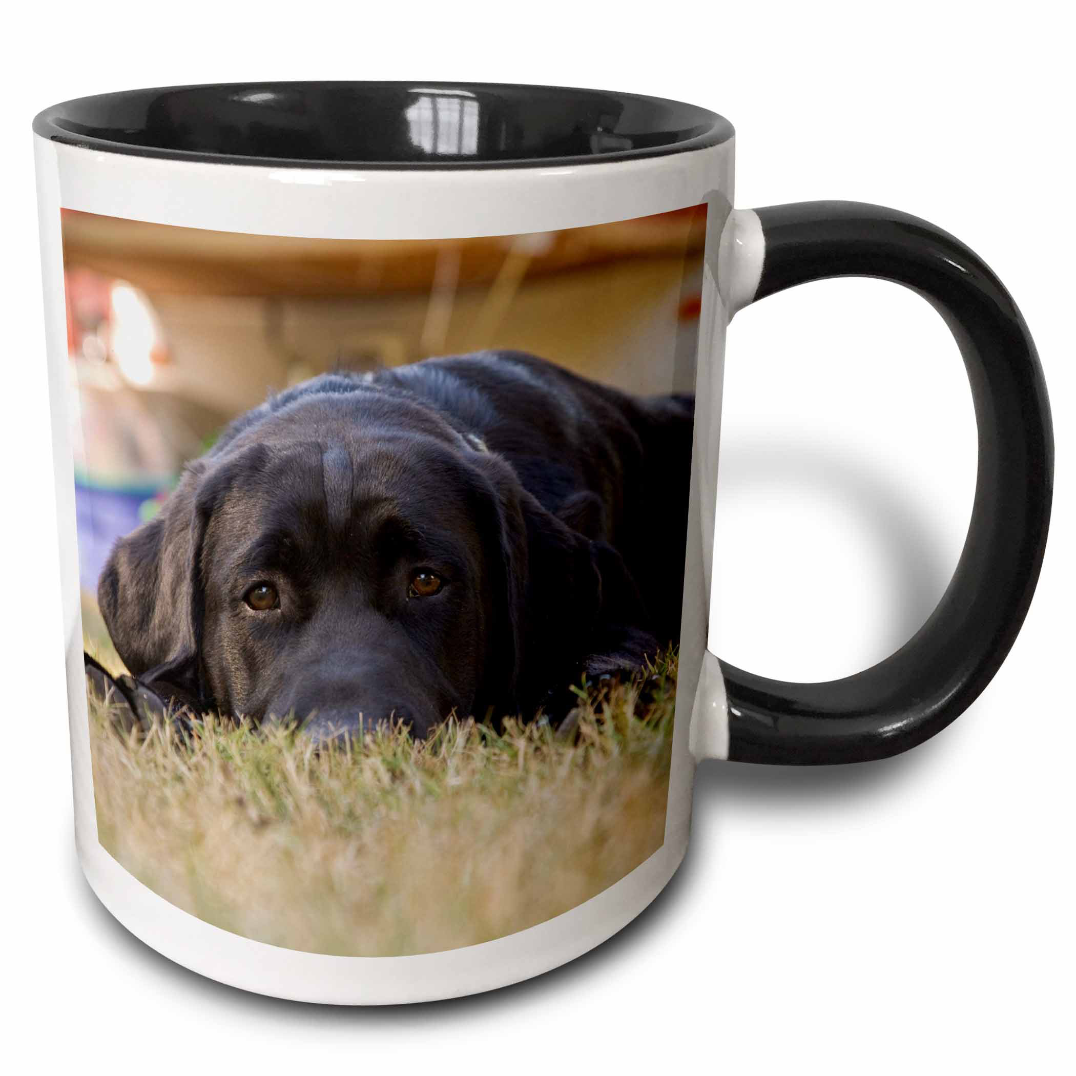 labrador retriever coffee mugs