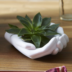 Frady Handle with Care Hands Holder Decorative Box