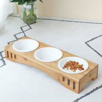 cat feeding table