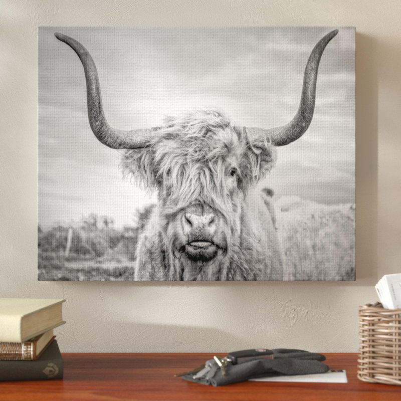 Union Rustic Highland Cow Picture Frame Photograph Print On Canvas Reviews Wayfair Ca