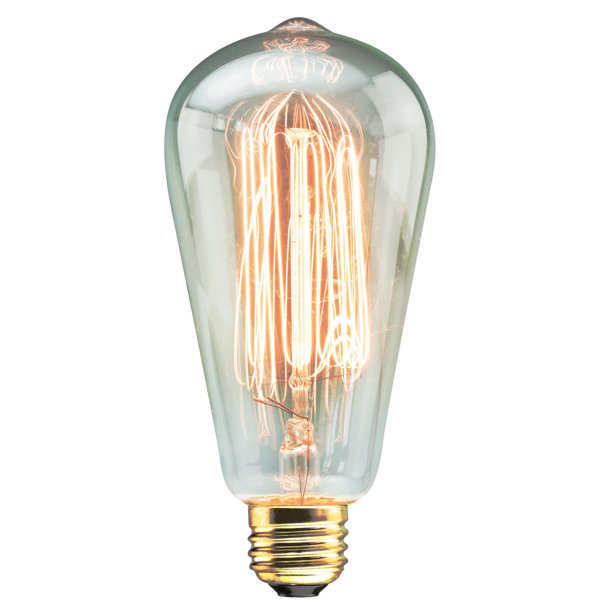 60W Vintage Filament Light Bulb by TransGlobe Lighting