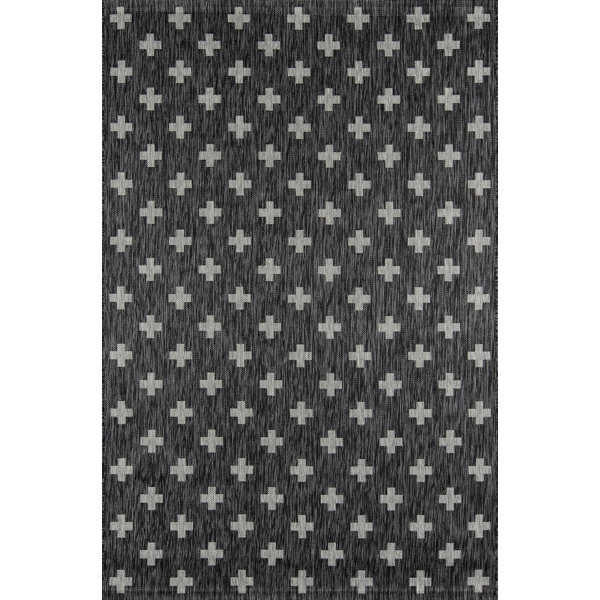 Umbria Charcoal Indoor/Outdoor Area Rug by Novogratz By Momeni