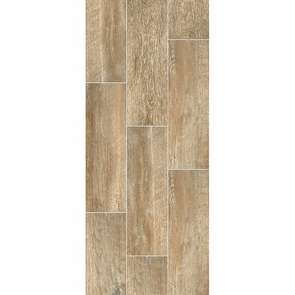 Avenues Plank 7 x 22 Ceramic Field Tile in Mussel by Shaw Floors