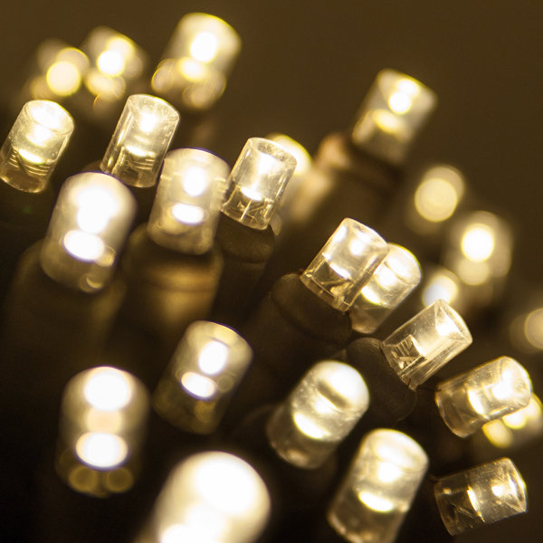 50 Light 0.20 LED Christmas Light by Wintergreen Lighting