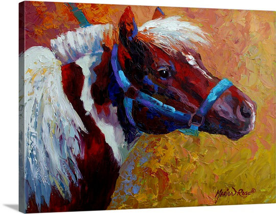 Canvas On Demand Pony By Marion Rose Painting Print On Canvas