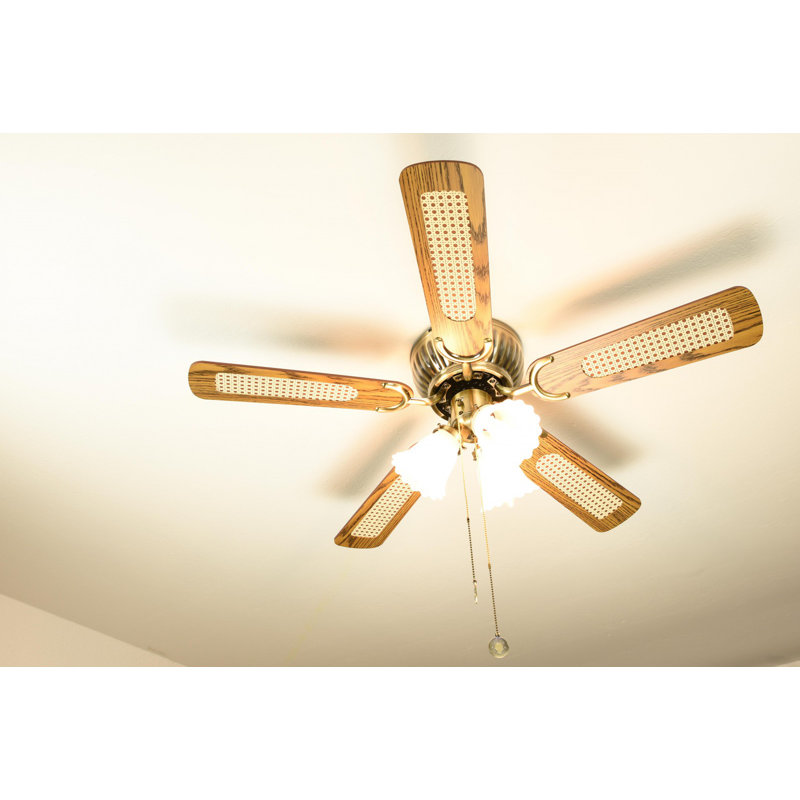 Marlow Home Co 105cm Zephyr 5 Blade Ceiling Fan Reviews