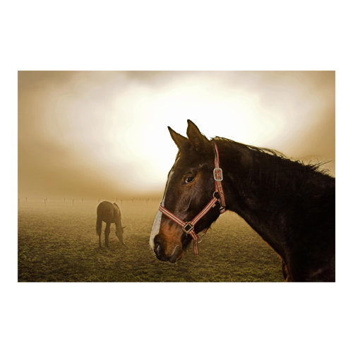 Early Horse 1.9m x 2.88m Textured Matt Peel & Stick Wall Mural East Urban Home