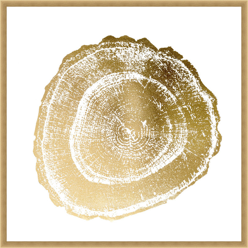 Ashton Wall Decor Llc Gold Foil Tree Ring Iii Framed Graphic Art