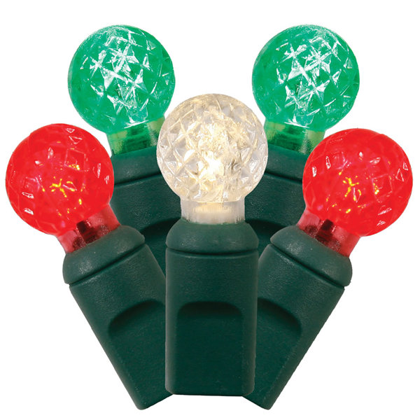 50 Light LED String Lighting by The Holiday Aisle