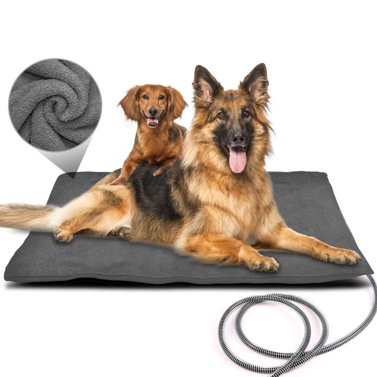 electric dog bed outdoor