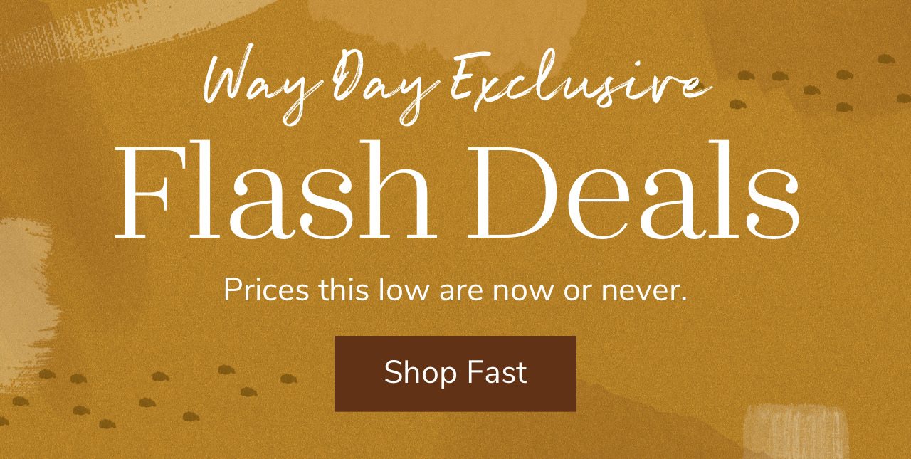 Way Day Flash Deals