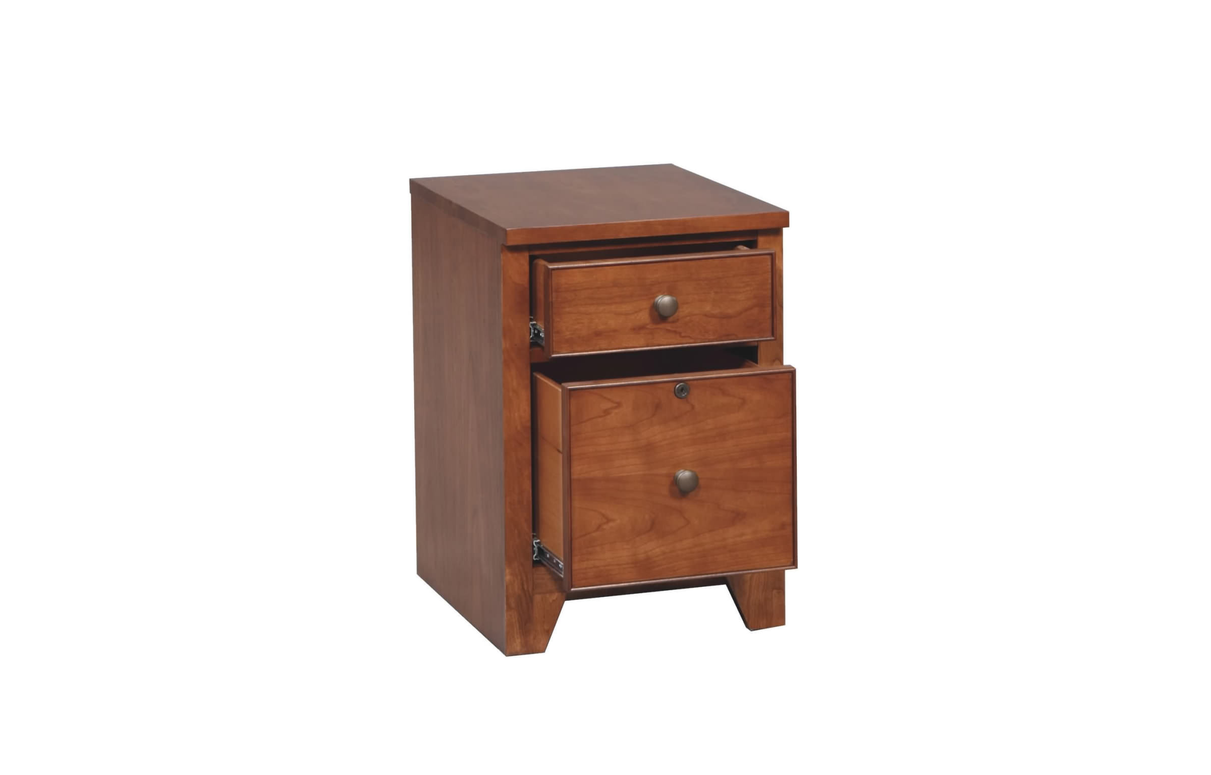 Alcott Hill Chester 2 Drawer Vertical File Reviews Wayfair
