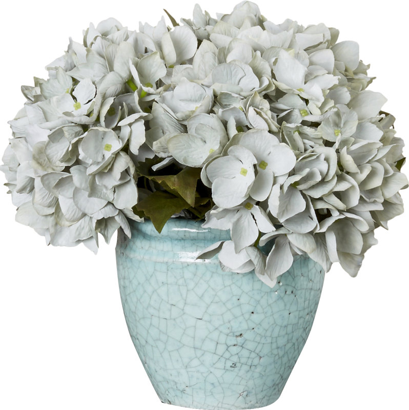 Blue Sea Foam Hydrangea Bouquet in Rustic Pot & Reviews Joss & Main