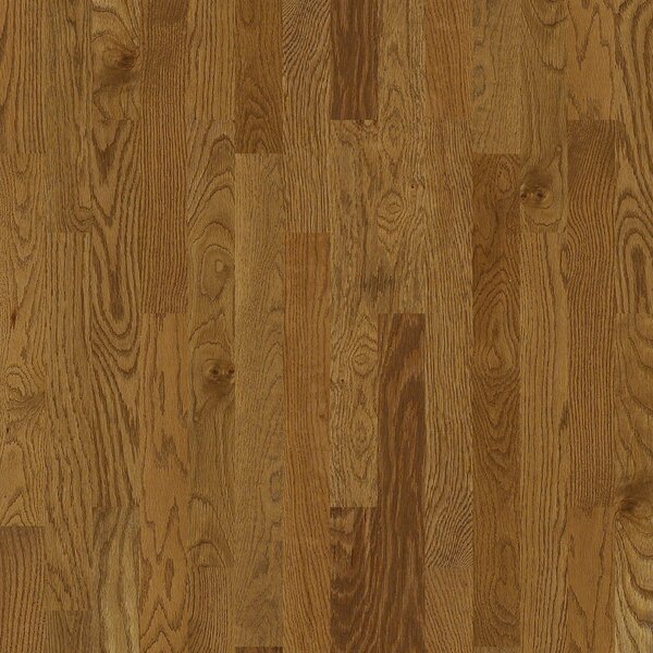 Basinger 4 Solid White Oak Flooring in Trentson by Shaw Floors