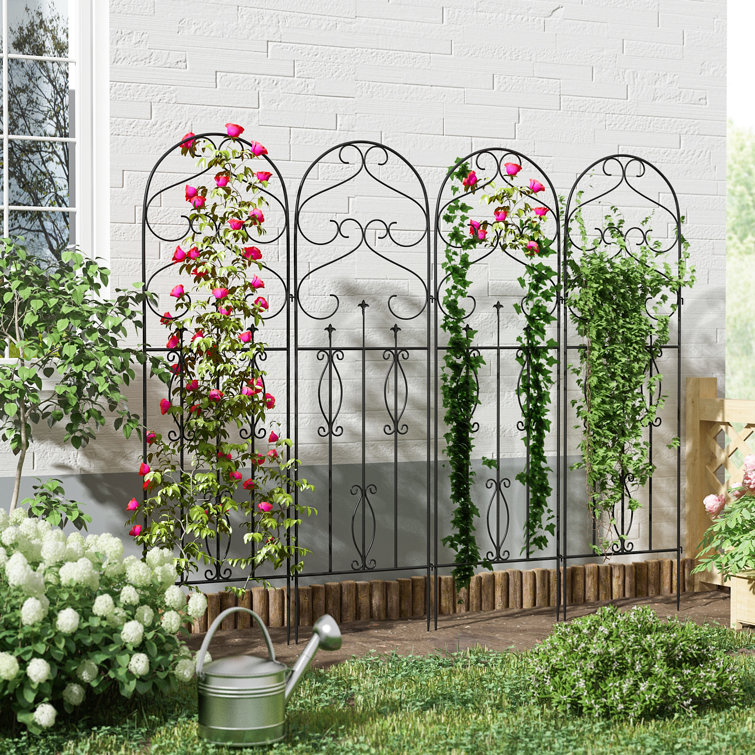 Red Barrel Studio 4 Pack Garden Trellis For Climbing Plants 60 X 18 Rustproof Sturdy Black Iron Trellis For Potted Plants Support Lattice Metal Trellis For Climbing Roses Vines Flower Vegetable Wayfair